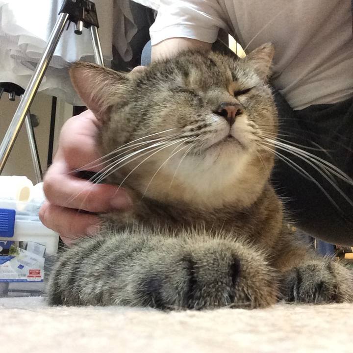 4240339d 81c3 4a67 9c40 d5ab79926700 1570141089277