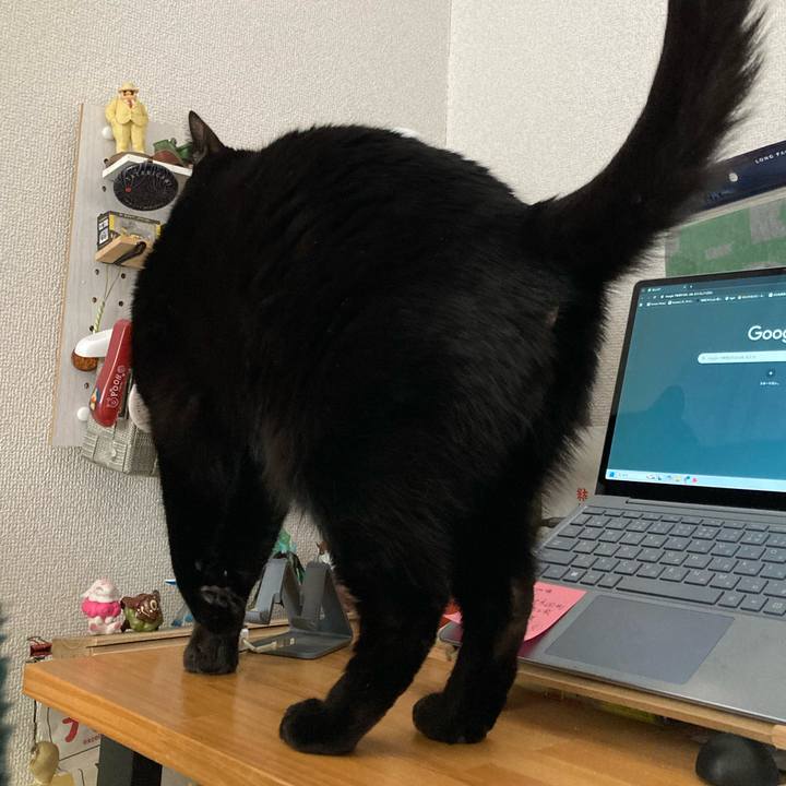 42406988 6e0f 4e1b a82c cf0727b7f792 1772414299295