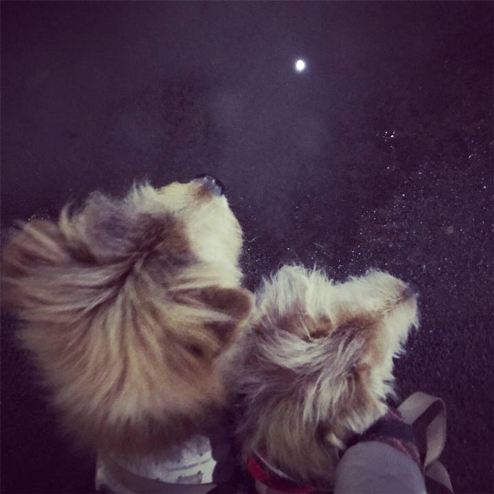 4240a2c7 7baa 48b8 815d 2dbbeea9eb66 1611851799328