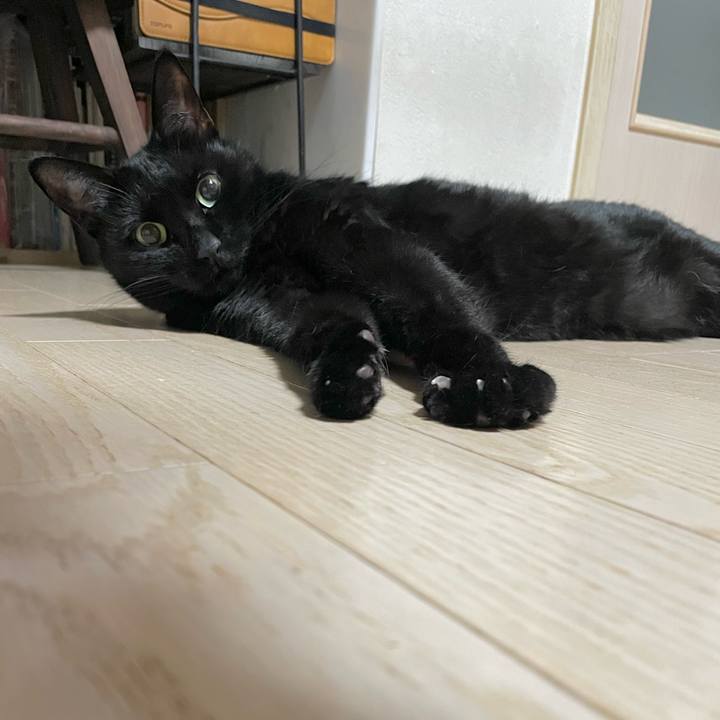 4240a73d 8b67 418e bcc2 66756c2bcd82 1707396320466