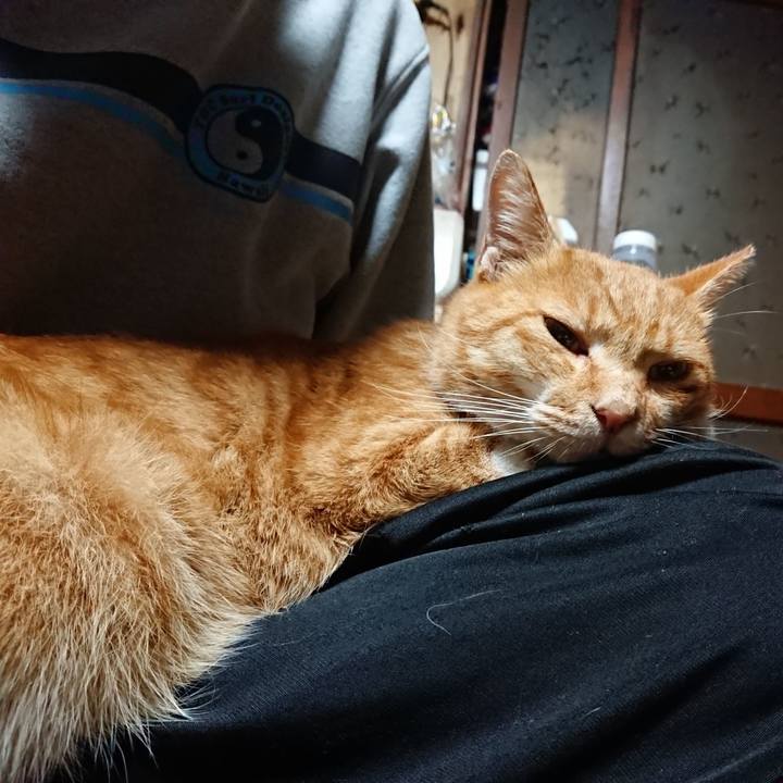 4240ccf2 7e55 4771 8e74 95b2151bd06a 1602449239703