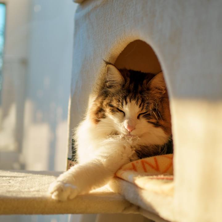 4240e4d7 049e 4527 a26f 12289ac5c547 1734941362371