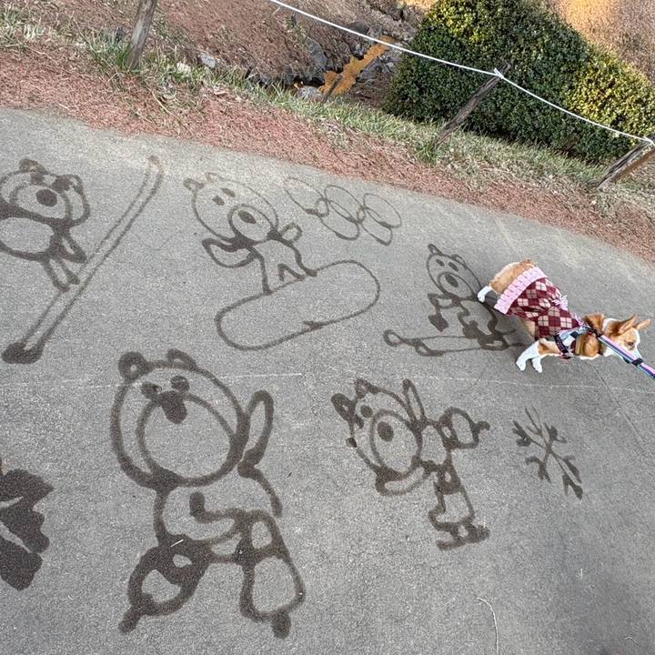 42413e37 a241 417f 8fd2 753f3defae8d 1771154604353