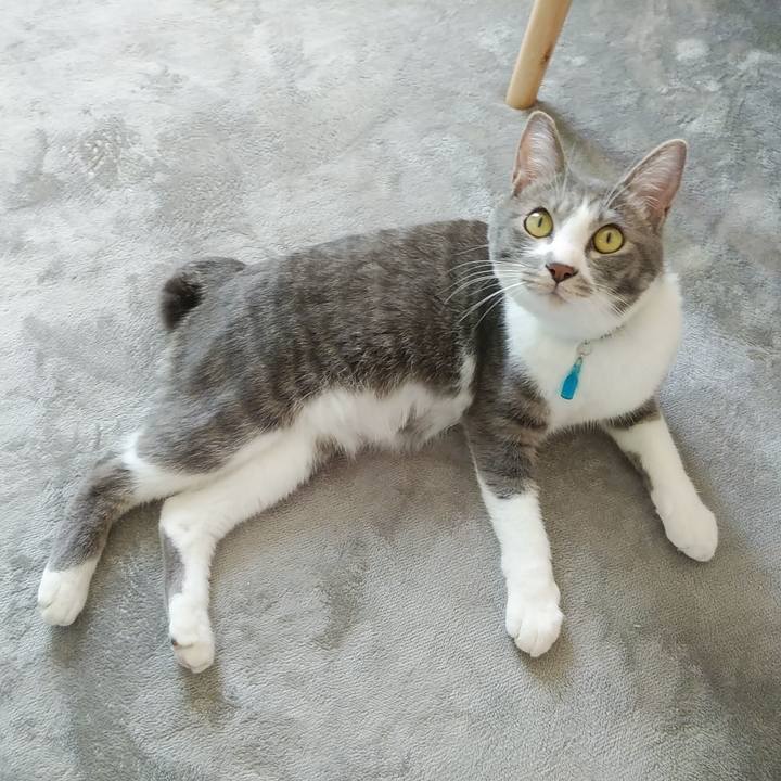 4241938a d452 43f0 b776 96faac5f5298 1589688361729