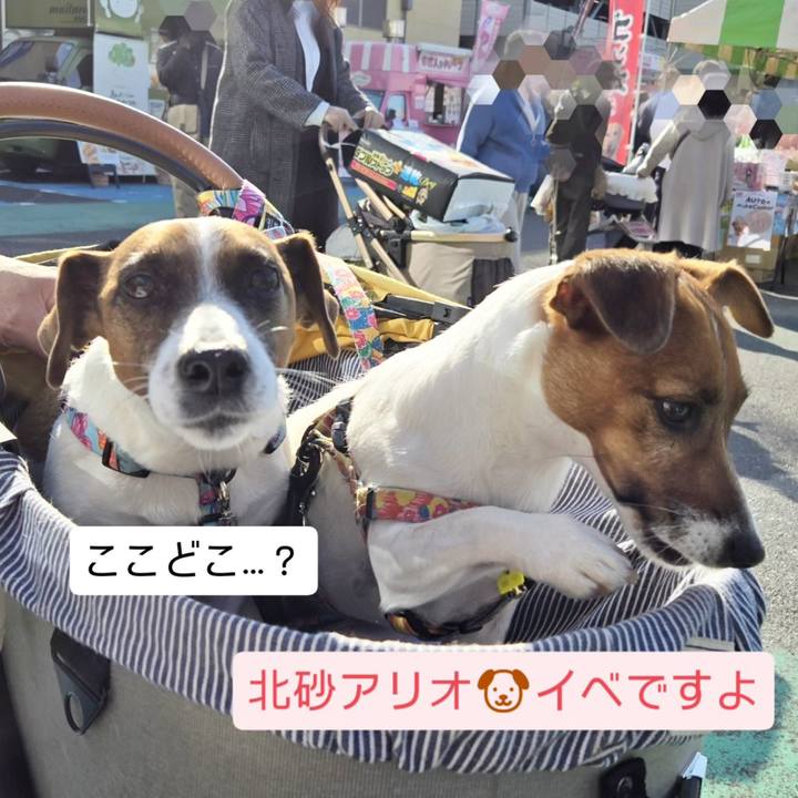 42419578 7dd3 4165 892b 3c9b6ed38a82 1763217022370