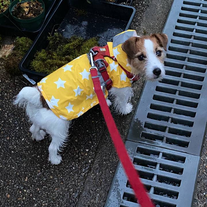 4241ee37 fdda 4ab4 806e 5d5af6eb4f1b 1742034108373