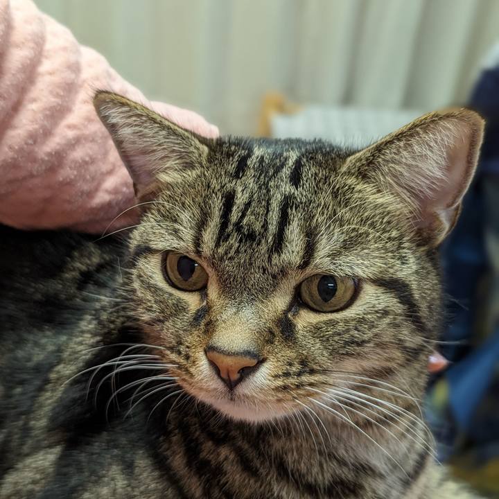 4241f021 536f 410b bf5d c25d6890d857 1704109282014