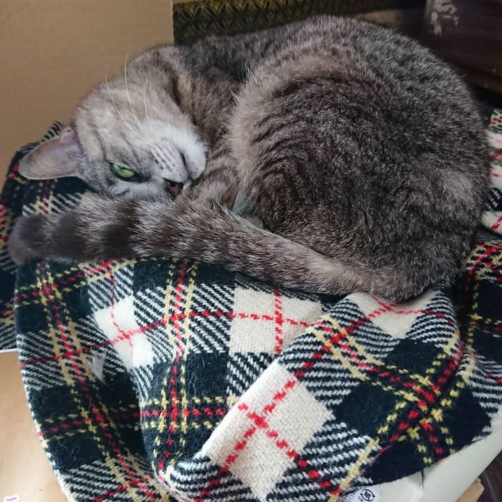 42420c3d 706e 4586 b742 e59aa2cb33c8 1562982121312