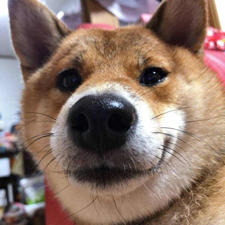 42422703 0c3d 4d95 ba35 98207bab05b5 1534852952419