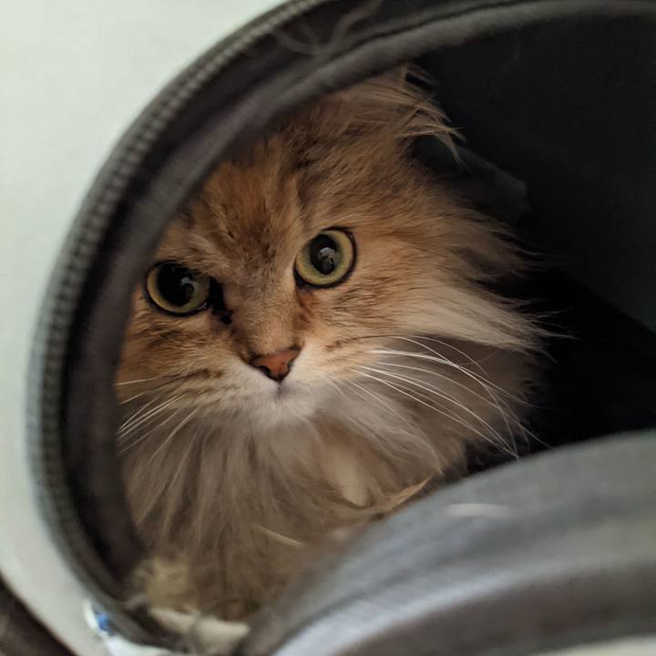 4242317b ba83 4940 90bf 2a738eb36f12 1648344370291