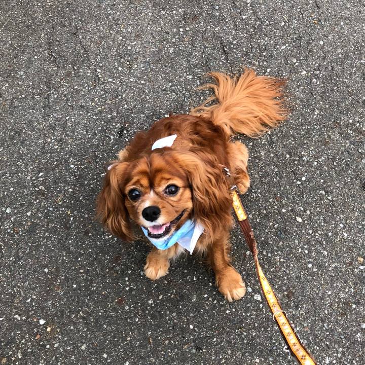 42424fe5 e93d 4ea6 8865 aa1ad0bf6f6e 1625524112914