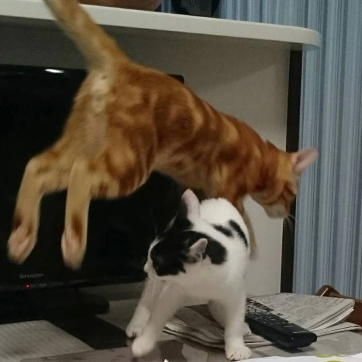 42426521 62b9 47a0 8ed6 7cadfea5cee9 1627097053543