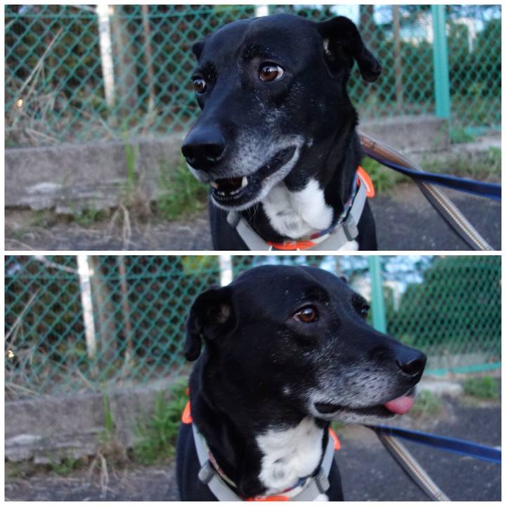 4242ac4c b9e8 4636 90b2 82c45967d700 1715339711200