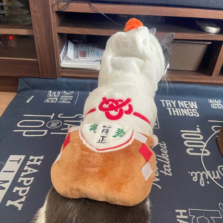 4242c5db 7eda 4b42 b4bb e4797cb0925f 1704091064948