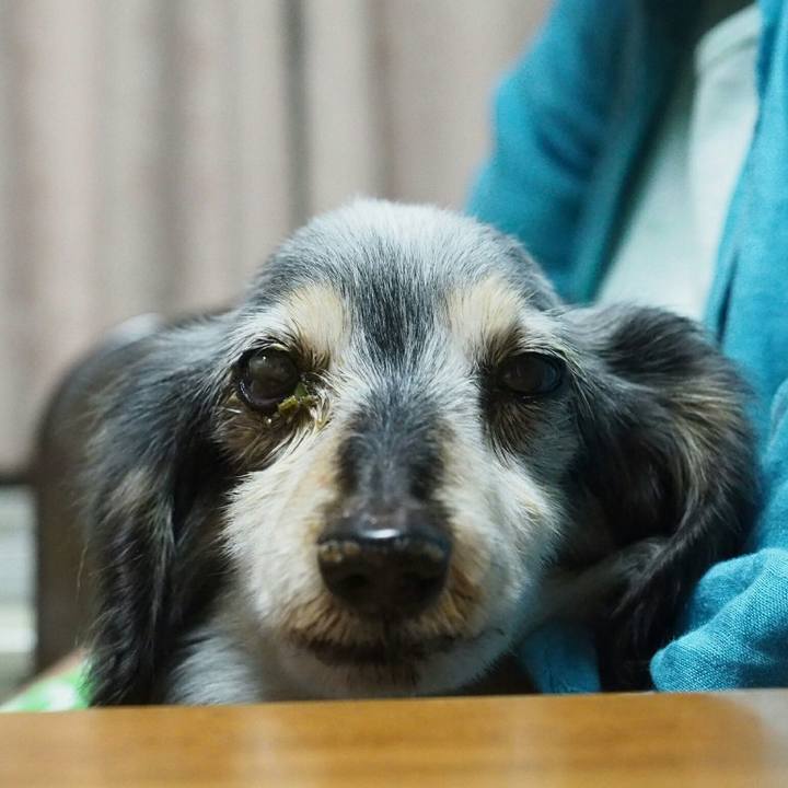 4242c641 a7dc 48c7 9ba5 77ddd71d9ce0 1540211860699