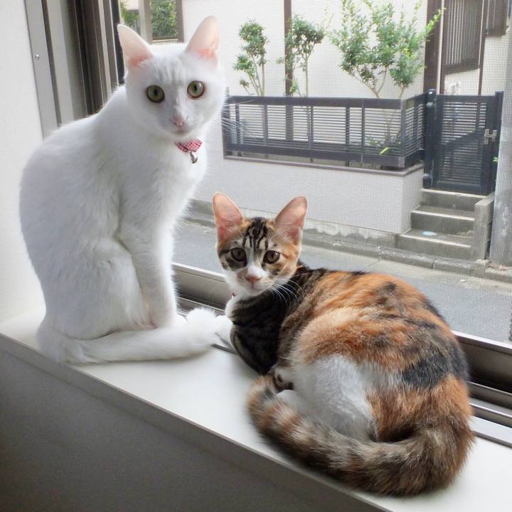 42432395 acdd 4915 87ab 76e894868010 1763029503275