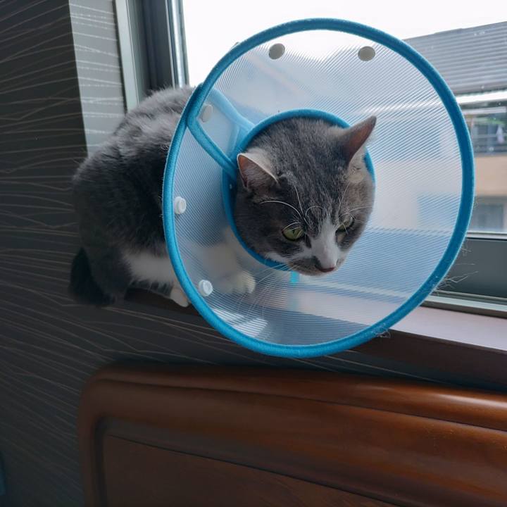 42433095 3b74 46d9 a295 8efc9b60b19c 1715760136495