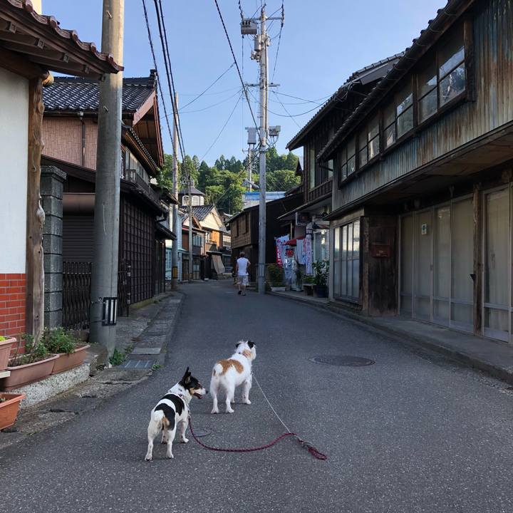 42433106 0a0b 468e 85df d3589153e7c9 1534285763153