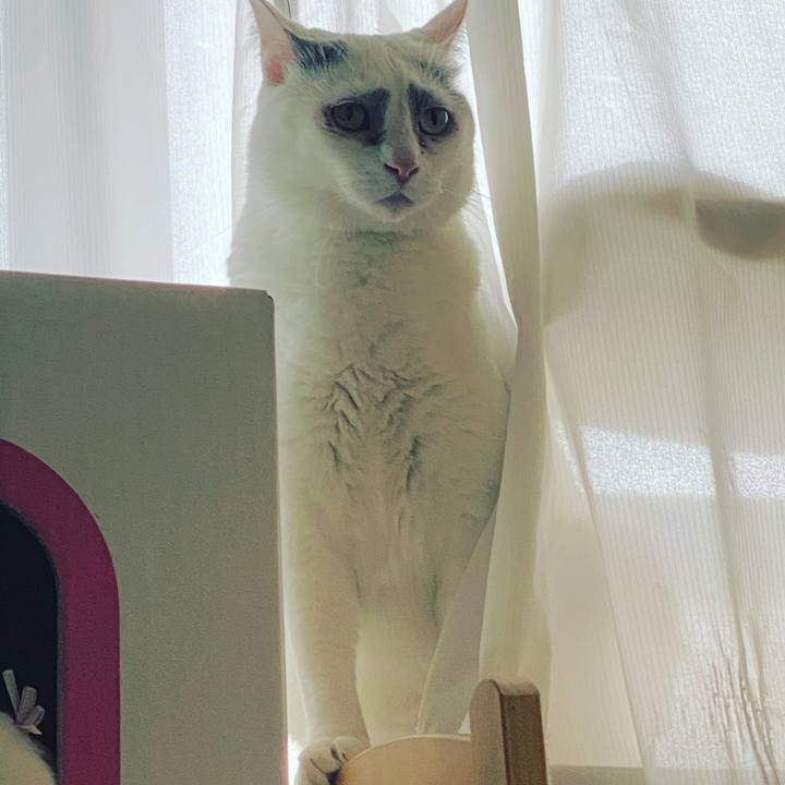 4243646f ae14 4145 8163 183bd63efdd5 1589836636703