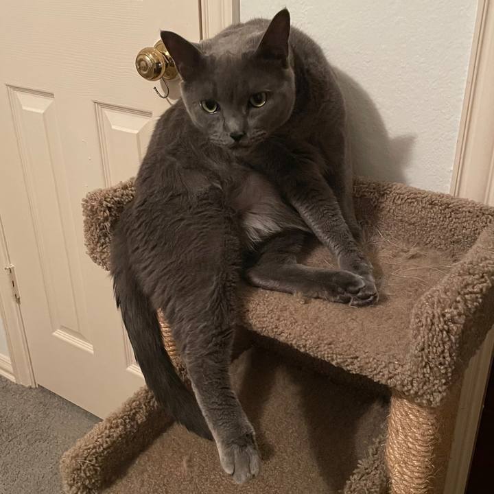 42438bfa f908 424b 9a07 027430c94ad4 1699494839191