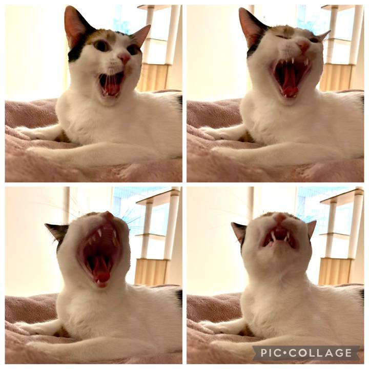 4243adaa c8bb 443f be42 0de959366edc 1771598284884