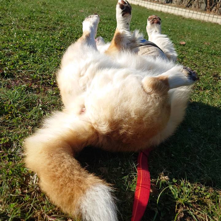 4243b7d0 a81a 4193 8cca af79e05775f3 1776297524010