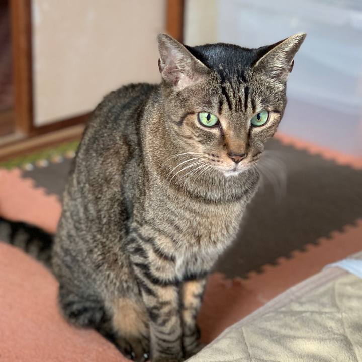 42446f28 f5f9 47ff 9193 543eeb2afe7f 1577405130266