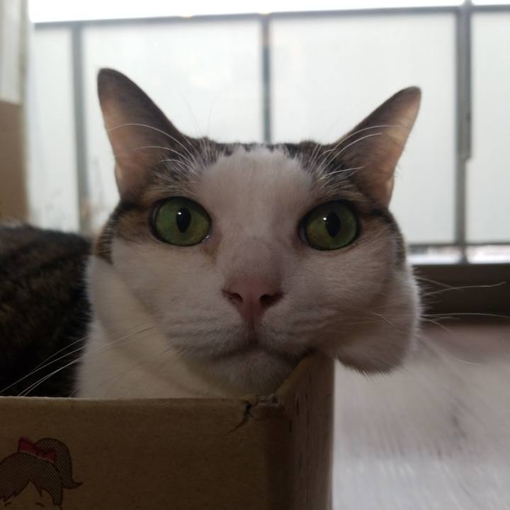 4244a518 9306 4b0b 98e9 c5d801261eed 1587165685150