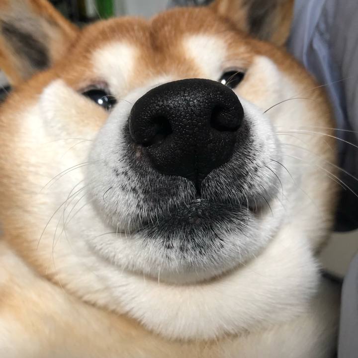 4244ba9e b6cf 43c8 8a90 a3e84d16df40 1553255219395