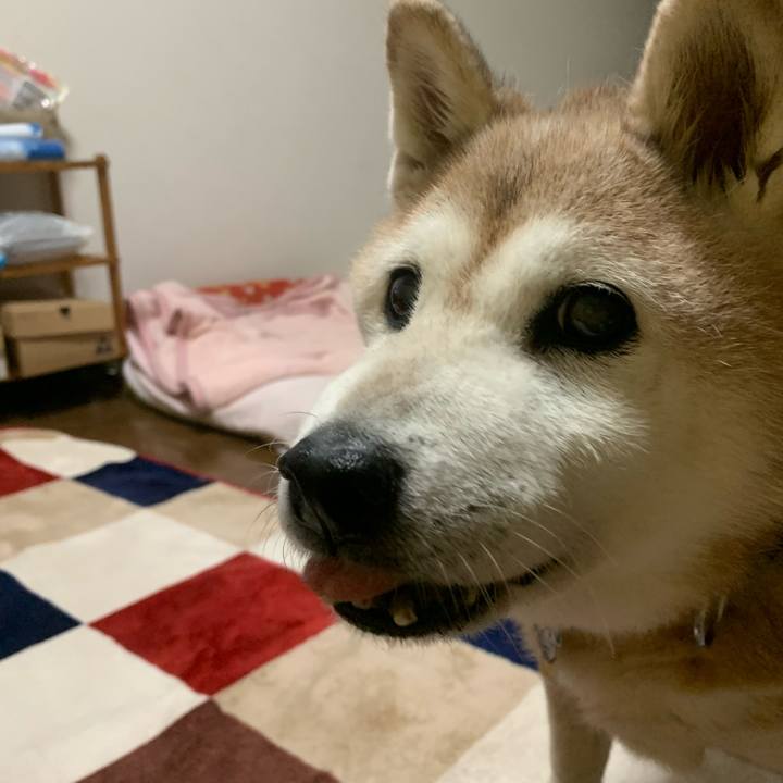 4244c93c 5c50 4d5c b1be 2849c9a91e20 1660221689270