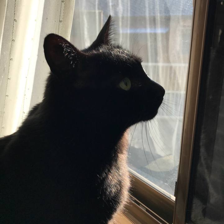 4244f9d8 10af 4c02 9ec5 cd47eb272ef4 1513905240263