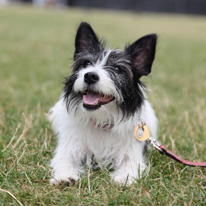 4244ff72 f7ff 4fe2 8b93 0a78d33176de 1528430179503