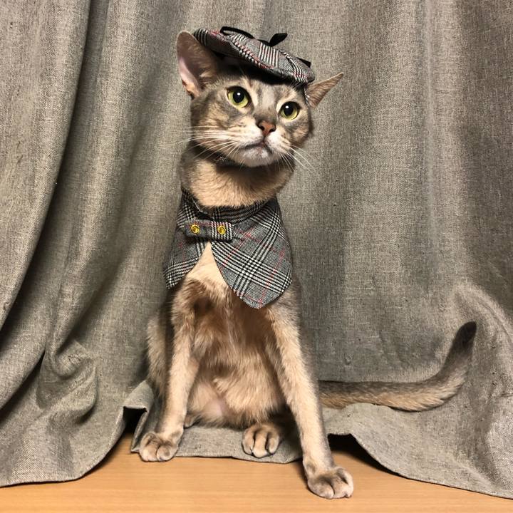 42451a1a 7b71 4593 aabf 58a4445a042a 1764071154542