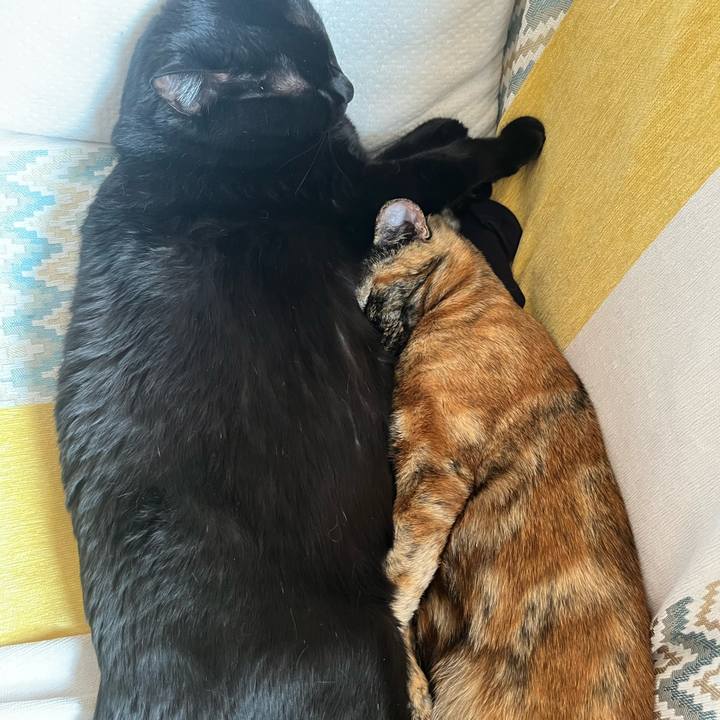 424545f5 3d6d 403d a231 e671279116a5 1683760147687