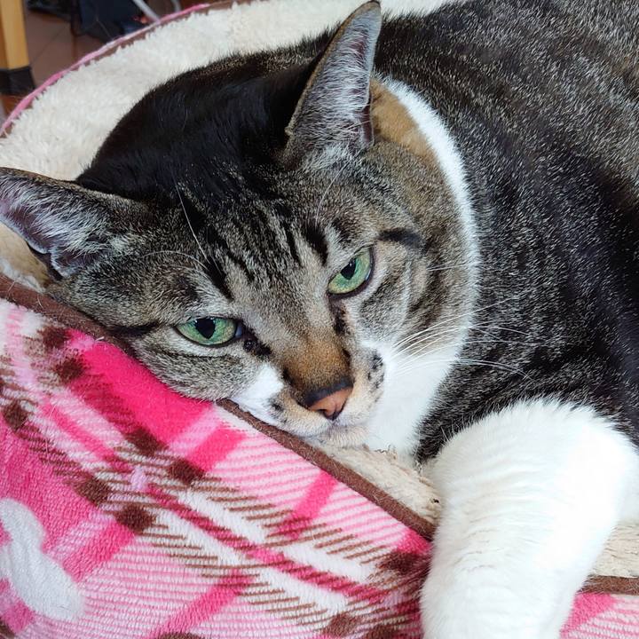 4245491d 2035 4395 abed 5c4755d34312 1613872940666