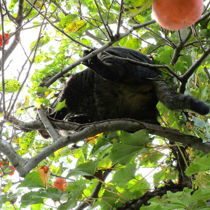 4245507b fb2c 439a aaa8 707332b4c1d6 1508740514471