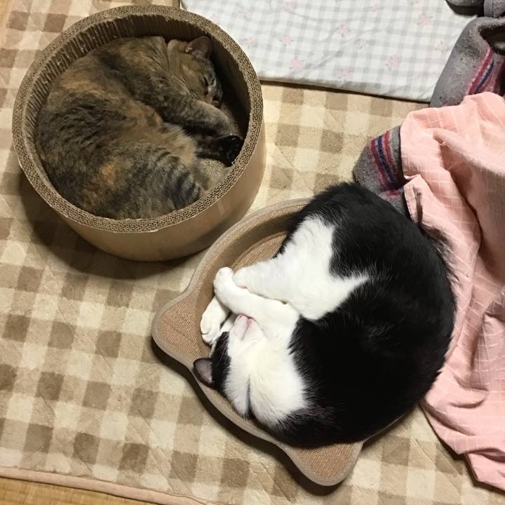 42455f69 aab0 4ba4 987a 4b9fb0e8c695 1729664503886