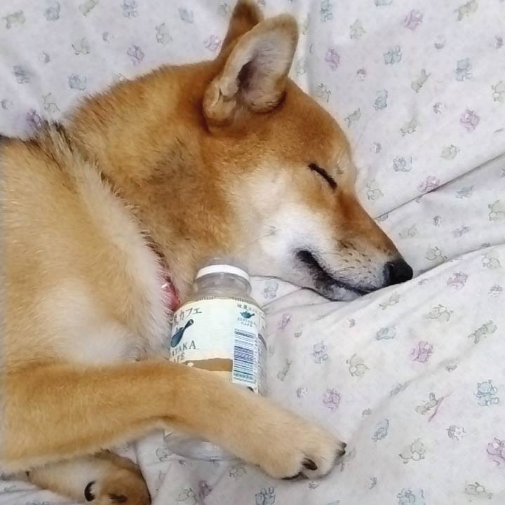 42455fa3 aecc 48fb 80ec c8b9922db707 1690854811411