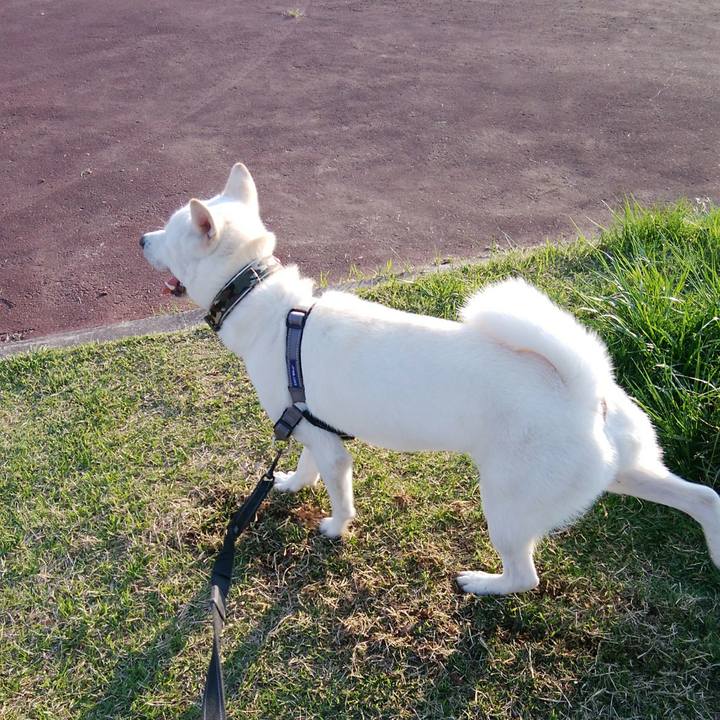 4245848b 6b83 4dae 9815 3a66e9b3101b 1525988063269