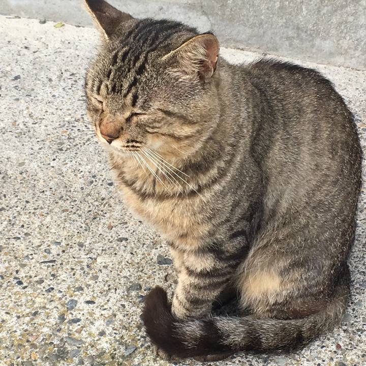 4245a26f e230 4a0c b084 8e8708009ce3 1535678559666