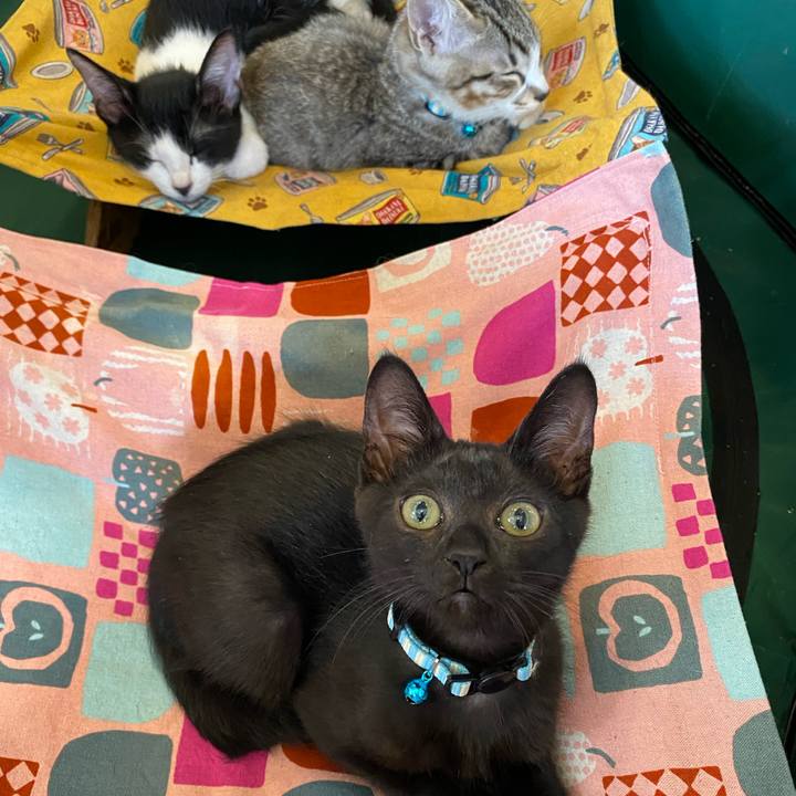 4245aa30 6bae 4afb af2f f514882a7f55 1627026503300