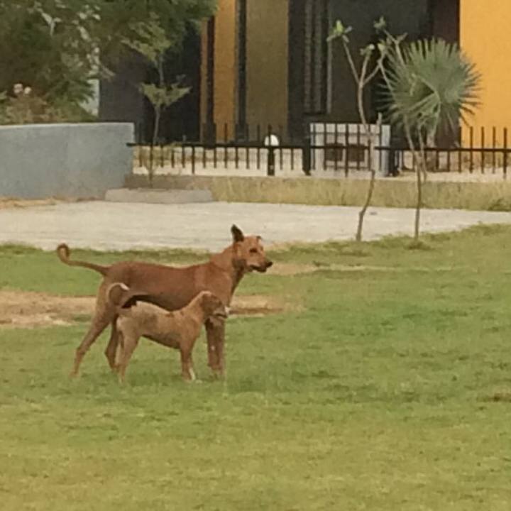 4245cc22 7f7f 4053 a5a5 72dcd16e182f 1528721000987