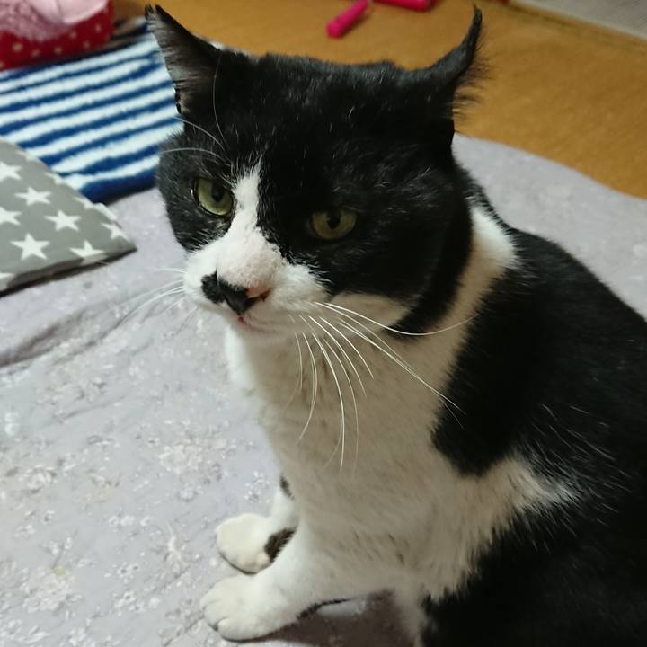 4245e605 250d 44b1 84f4 b8c05a136bfc 1550663450448