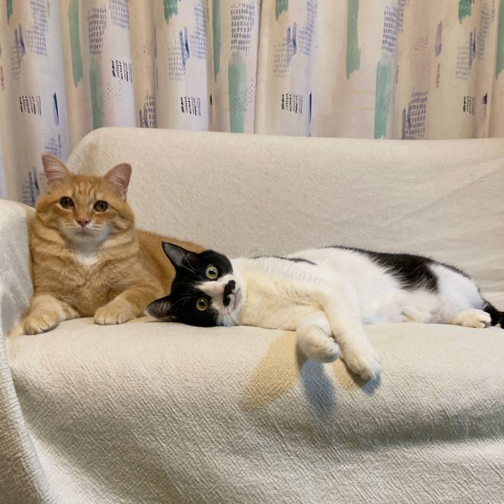 42460427 e574 40f3 aeab 97cd3c3e422c 1763732020564