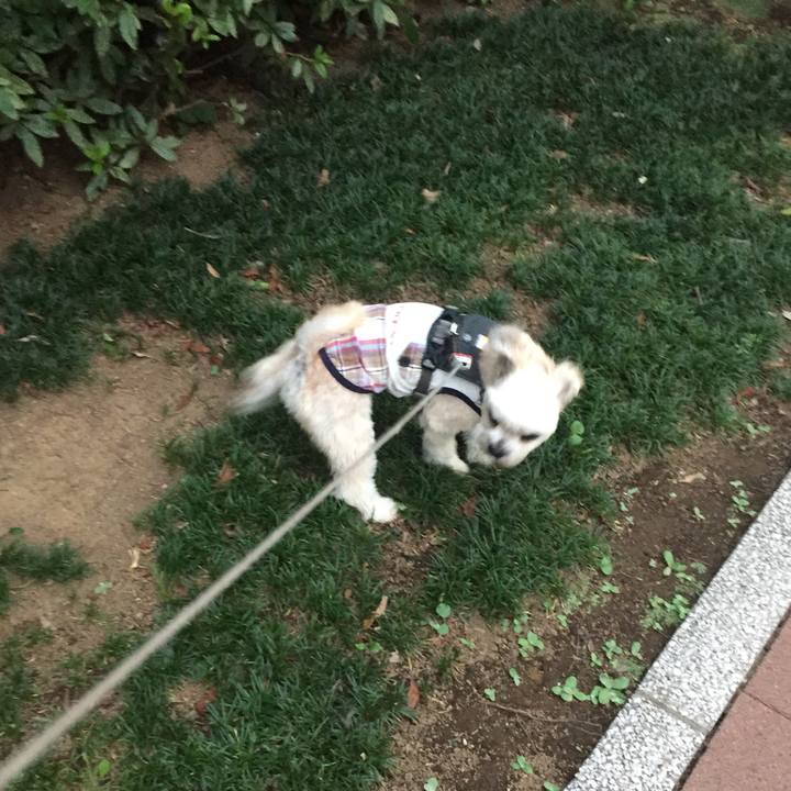 42461cfc 933b 4c20 9afe 003811509bb8 1566216432341