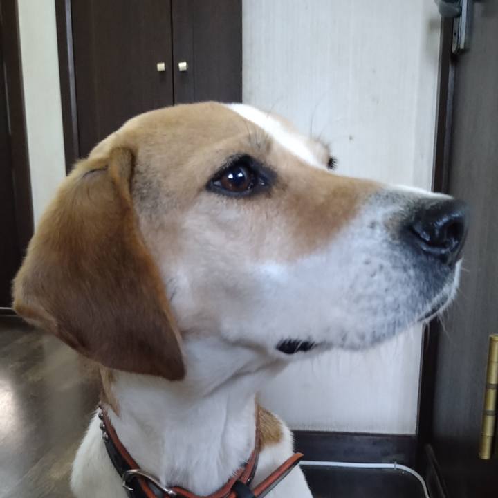 424643e9 1ec8 4c46 91b6 6bdf8111e02f 1643704556906