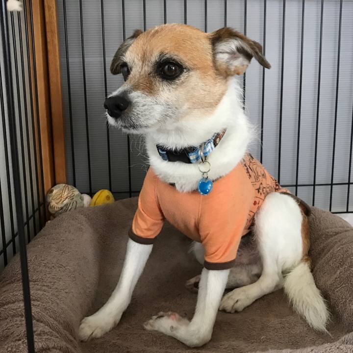 424649a0 cb89 4b0c a45c 9a6b9e443fad 1589105718191