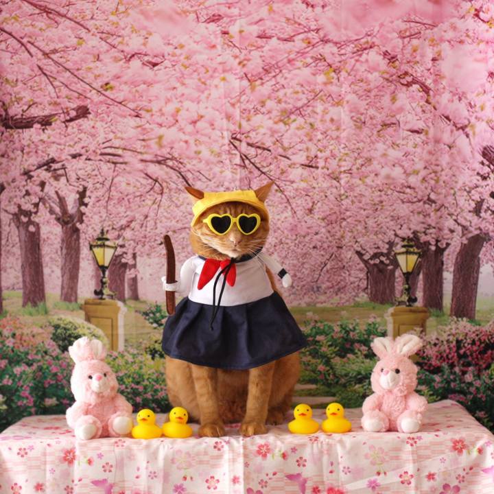 42467271 64c5 4d74 a4cc 0e14a74c1e16 1775222499669