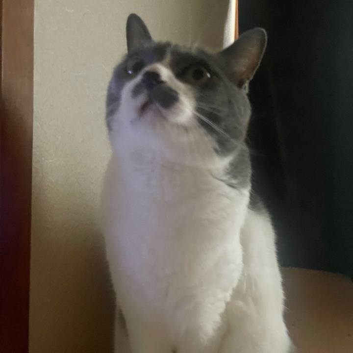 42467f16 5e9f 41d3 a3dd 34e798cab176 1692836098443