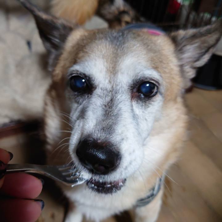 4246c50a 28a7 4c23 85d0 f26e84da3e8f 1668003255187